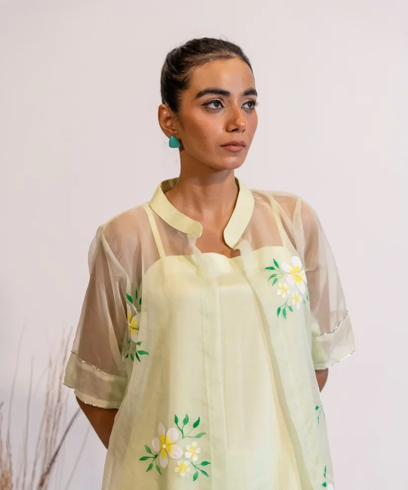 Pastel Green Hand-painted Organza Kurta Set